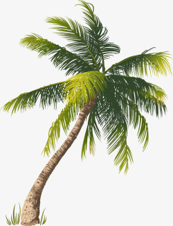 一颗椰树矢量图素材