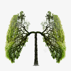 肺部创意广告肺部高清图片