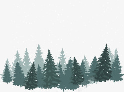 白色绿边冬季绿色松树树林高清图片