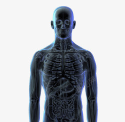 立体透视图人体3d立体透视图高清图片