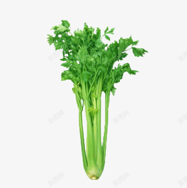 素菜蔬菜png免抠素材_新图网 https://ixintu.com 绿叶 绿色 蔬菜