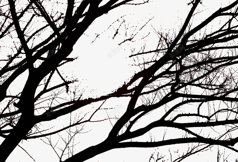 黑色的树枝png免抠素材_新图网 https://ixintu.com 冬天 枯树 树木 黑白