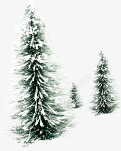 圣诞树摄影摄影冬天的松树圣诞树效果高清图片