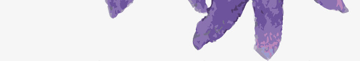 手绘紫色淡雅花朵装饰png免抠素材_新图网 https://ixintu.com 淡雅 紫色 花朵 装饰