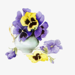 紫色和黄色的花朵素材