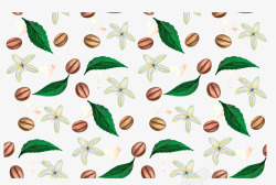 水彩咖啡豆手绘叶子和百合花矢量图高清图片