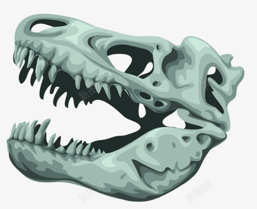 恐龙头骨png免抠素材_新图网 https://ixintu.com 侏罗纪 卡通恐龙 巨型动物 远古生物