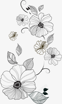 线描花卉精致蔓藤花朵叶子线描图高清图片