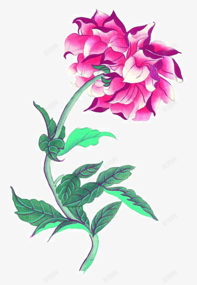 手绘花草png免抠素材_新图网 https://ixintu.com 国画写生小品 国画花卉 宣纸花草 手绘国画 装饰植物手绘