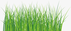 绿叶小麦苗小麦苗生长图标高清图片