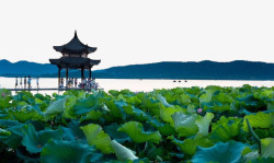 湖心亭休闲旅游杭州地标图高清图片