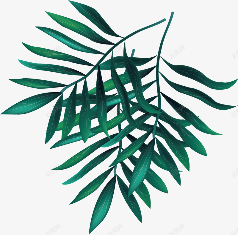 绿色针叶植物png免抠素材_新图网 https://ixintu.com 夏日植物 棕榈叶 矢量素材 绿色树叶 针叶植物