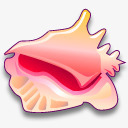 牡蛎贝壳素材