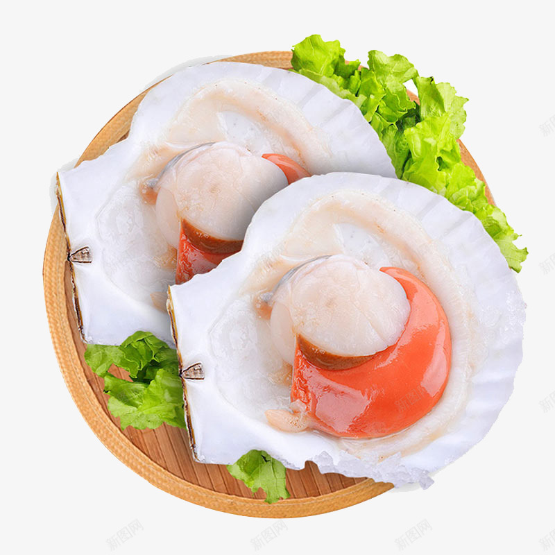 扇贝料理png免抠素材_新图网 https://ixintu.com 产品实物 新鲜的扇贝 海鲜 食物