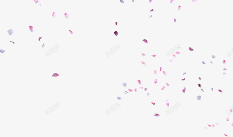 创意合成花瓣造型效果飞舞png免抠素材_新图网 https://ixintu.com 创意 合成 效果 花瓣 造型 飞舞