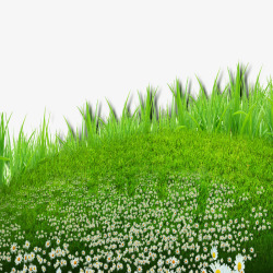 山坡野草绿色的草地高清图片