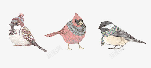 三只带着围巾的小麻雀png免抠素材_新图网 https://ixintu.com 冬天 手绘 插画