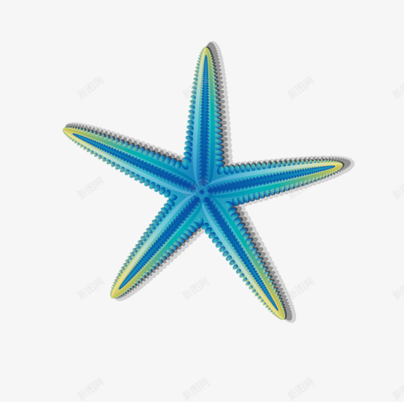 海星图案png免抠素材_新图网 https://ixintu.com 海星 海星图案 海生物 海胆
