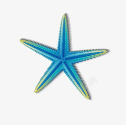 海星图案素材