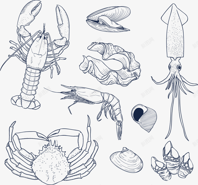 手绘海鲜组合矢量图ai免抠素材_新图网 https://ixintu.com 海鲜 虾 螃蟹 鱿鱼 矢量图