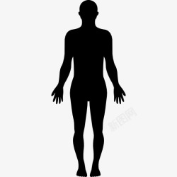 身体重要部位站在人体轮廓图标高清图片