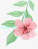 效果海报手绘涂鸦花朵植物png免抠素材_新图网 https://ixintu.com 效果 植物 海报 涂鸦 花朵