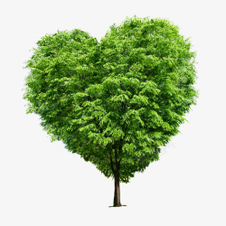 立面心型绿化树立面树高清图片
