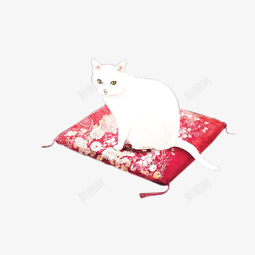 小白猫坐在红色花布上png免抠素材_新图网 https://ixintu.com 复古色碎花布 白猫 碎花布 红色 花布