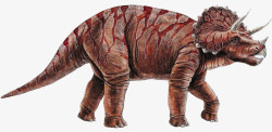 原始动物白垩纪恐龙高清图片