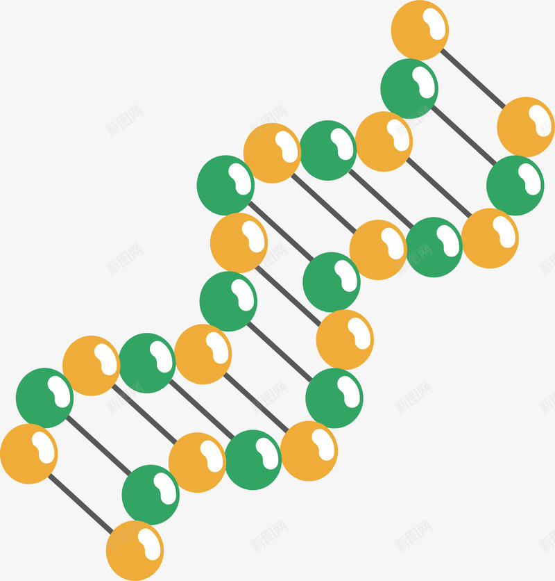 双螺旋分子结构矢量图ai免抠素材_新图网 https://ixintu.com 分子 分子结构 双螺旋 双螺旋分子 生物分子 矢量png 矢量图