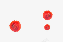 三朵小红花素材