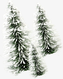 摄影冬天雪景松树素材