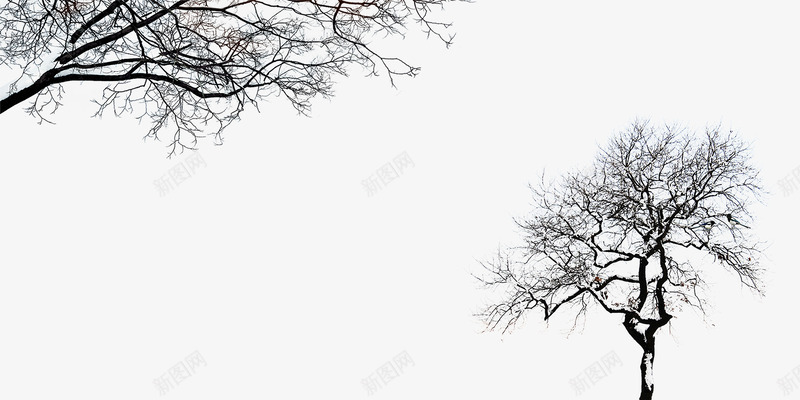 冬天枯树免费png免抠素材_新图网 https://ixintu.com 中国风海报 免费png素材 冬天枯树 冬季 小鸟