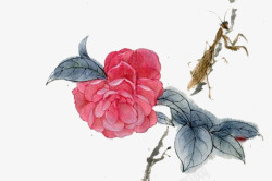 中国风手绘花卉素材