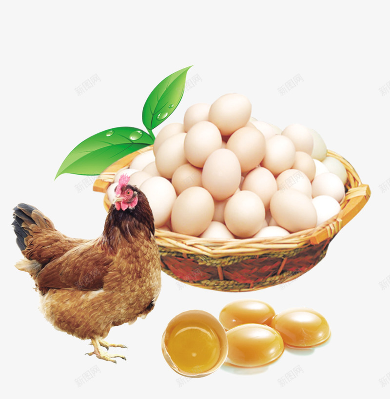 篮子里的鸡蛋png免抠素材_新图网 https://ixintu.com png图形 png装饰 小鸡妈妈 母鸡 篮子里的鸡蛋 绿叶 装饰 鸡蛋