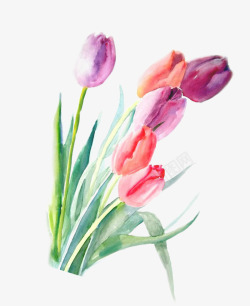 涂鸦植物元素花朵素材