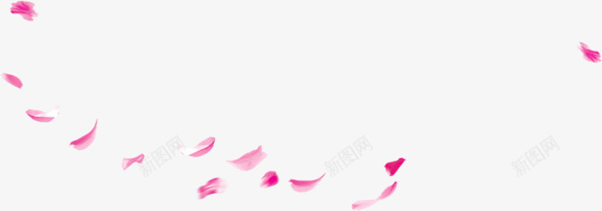 玫瑰花朵花瓣粉色png免抠素材_新图网 https://ixintu.com 新图网 玫瑰 粉色 花朵 花瓣