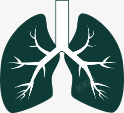 人体的肺部器官卡通素材