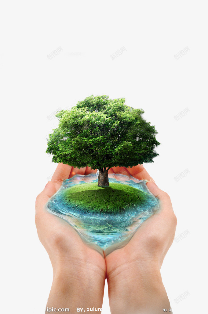 手捧着绿色树木png免抠素材_新图网 https://ixintu.com 手拿着树 手捧树 爱护环境 环保