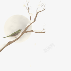工笔画树枝枝头的鸟儿高清图片