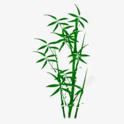 手绘竹子绿叶素材