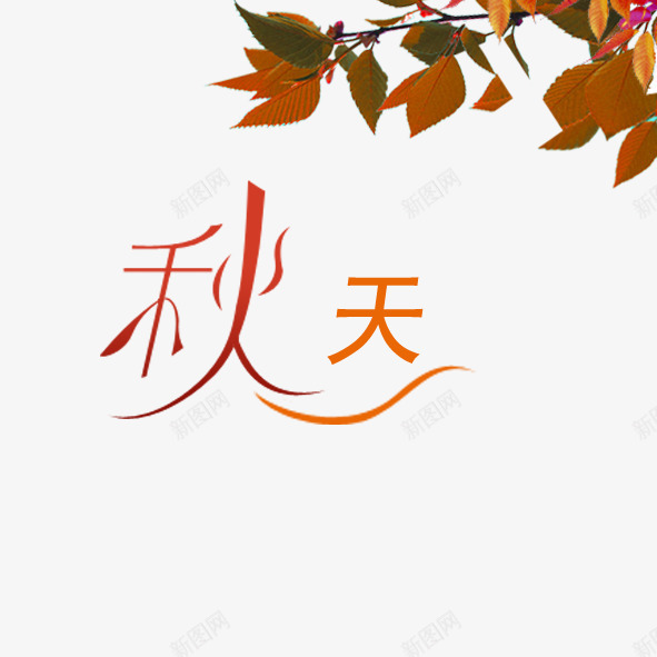 秋天的枫叶png免抠素材_新图网 https://ixintu.com 叶子 枫叶 秋天 黄色