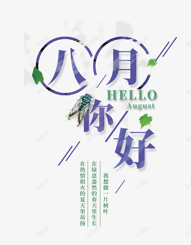 八月你好png免抠素材_新图网 https://ixintu.com HELLO 八月你好 创意 创意海报 小清新 文字排版 绿叶 艺术字