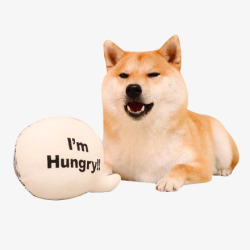 张嘴表情饥饿的狗狗高清图片