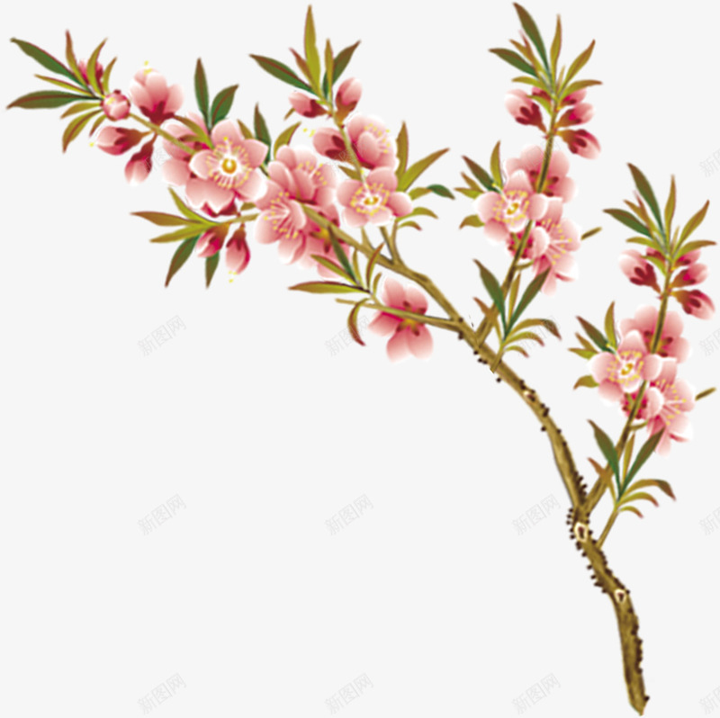 植物海报涂鸦花朵树枝png免抠素材_新图网 https://ixintu.com 树枝 植物 海报 涂鸦 花朵