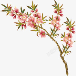 植物海报涂鸦花朵树枝素材