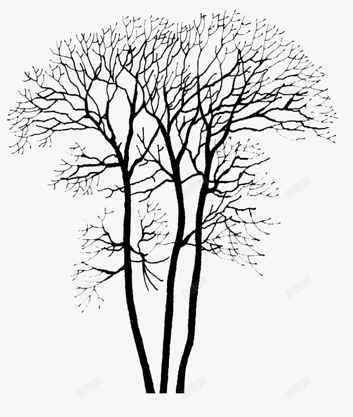 落叶的树png免抠素材_新图网 https://ixintu.com 冬天的树 树干 树木 树枝 植物 秋天的树 落叶