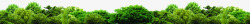 绿色底边绿色草丛森林底边装饰元素高清图片