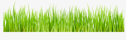 春天绿色草丛元素矢量图素材