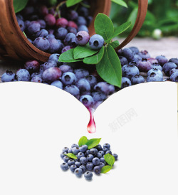 干红蓝莓酒蓝莓酒海报高清图片